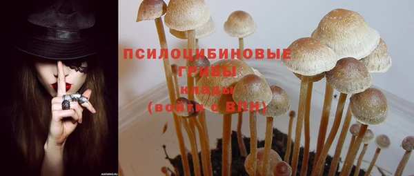 хмурый Дмитров