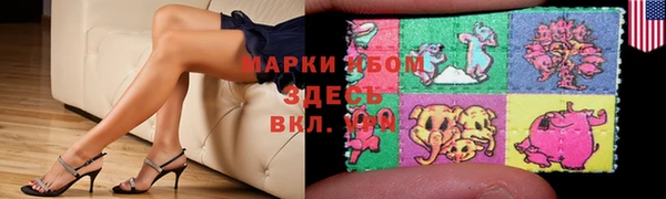 хмурый Дмитров