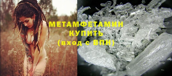 хмурый Дмитров