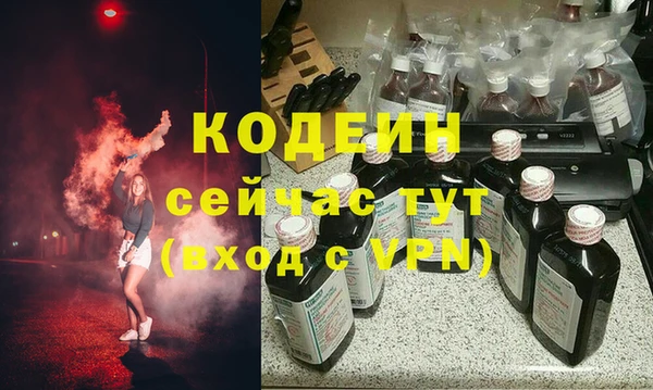 хмурый Дмитров